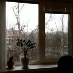 Продам - Комнаты - Одесская, Основа, Аэропорт