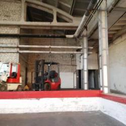 Сдам - Производство, склады - Хол.Гора, Бавария, Залютино