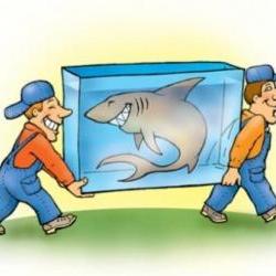 Сдам - Разное - Салтовка, Сев.Салтовка Сдам - Разное - Салтовка, Сев.Салтовка