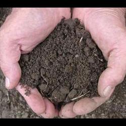 Продам - Дачи, участки - Хол.Гора, Бавария, Залютино