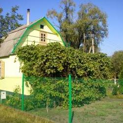 Продам - Дачи, участки - Разное