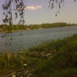 Продам - Квартиры - Разное