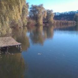 Продам - Дачи, участки - Разное