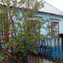 Продам - Дома (Пригород) - Разное