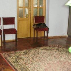 Продам - Квартиры - Хол.Гора, Бавария, Залютино