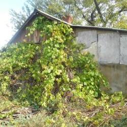 Продам - Дома (Харьков) - Разное